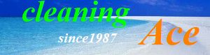 クリーニングエース